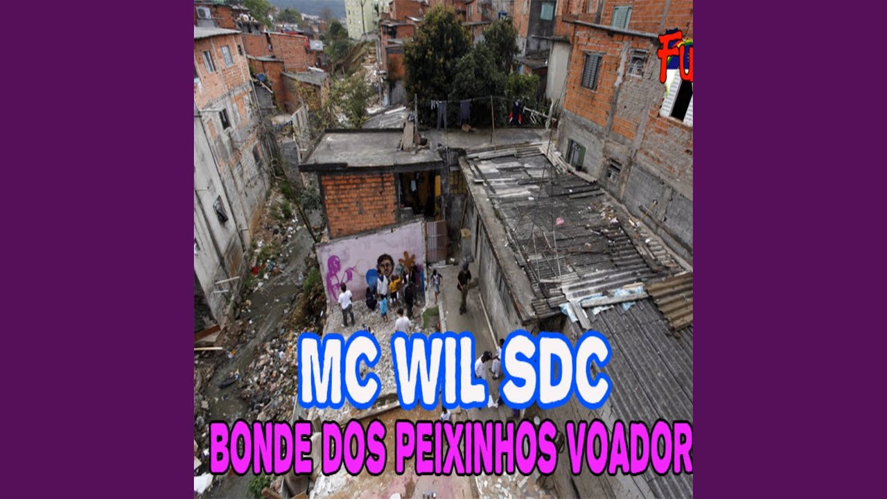 Bonde dos Peixinhos Voador