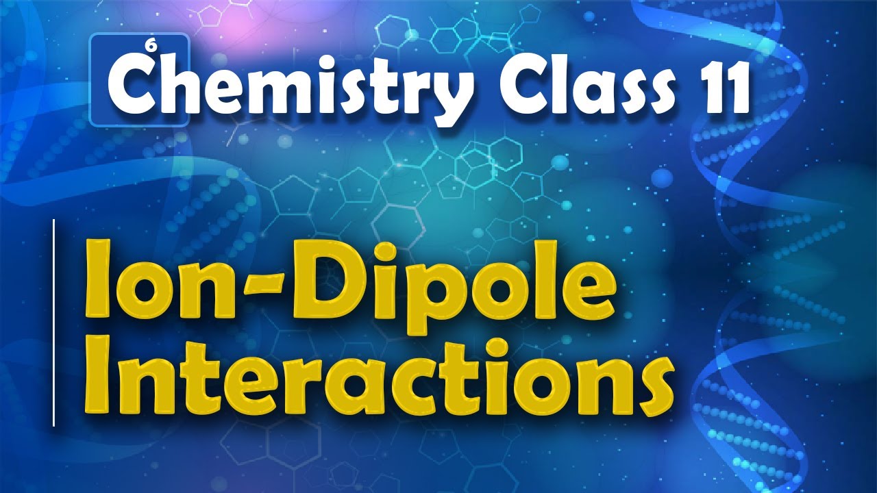 Ion-Dipole Interactions - States of Matter - Chemistry Class 11
