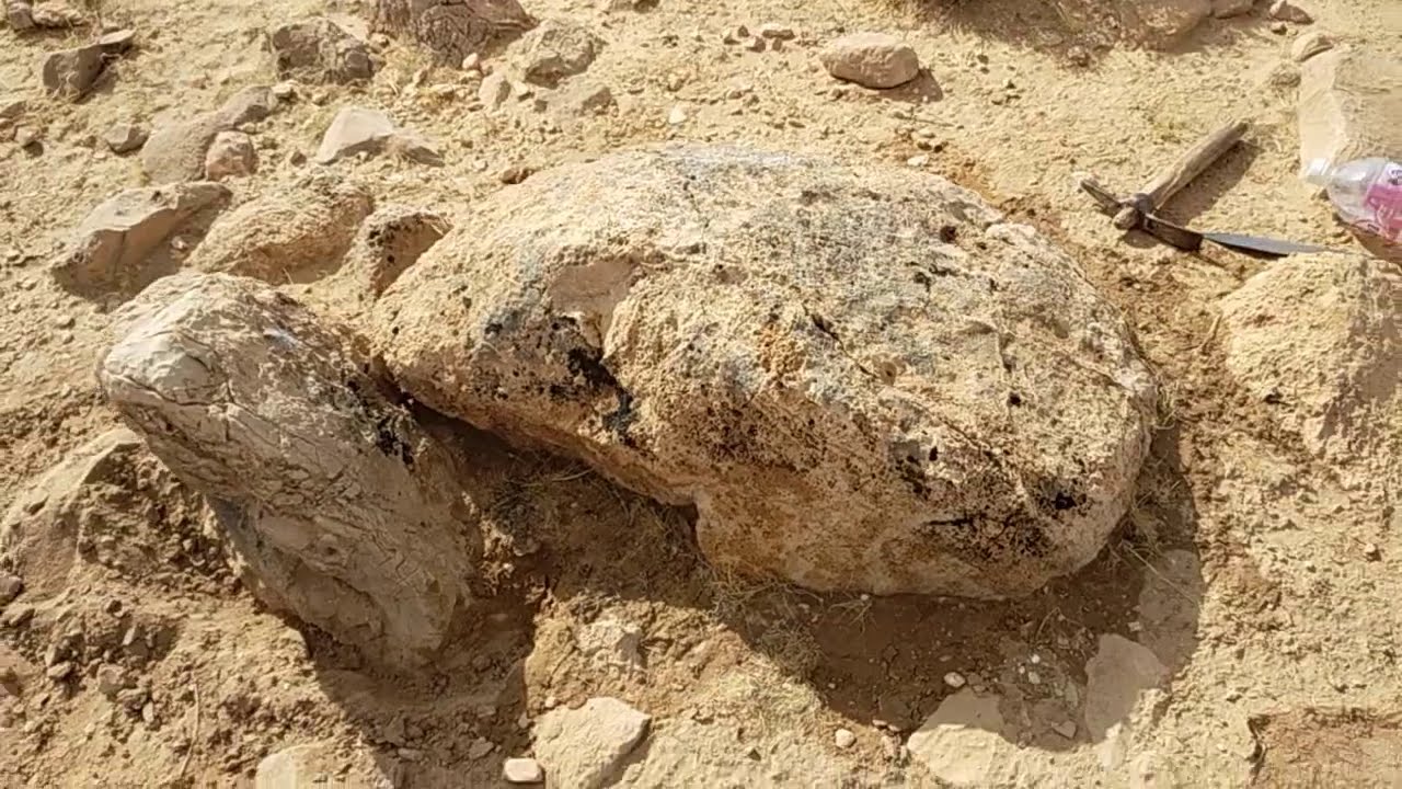 مجسم الضفدع العجيب وفسقية البربر
