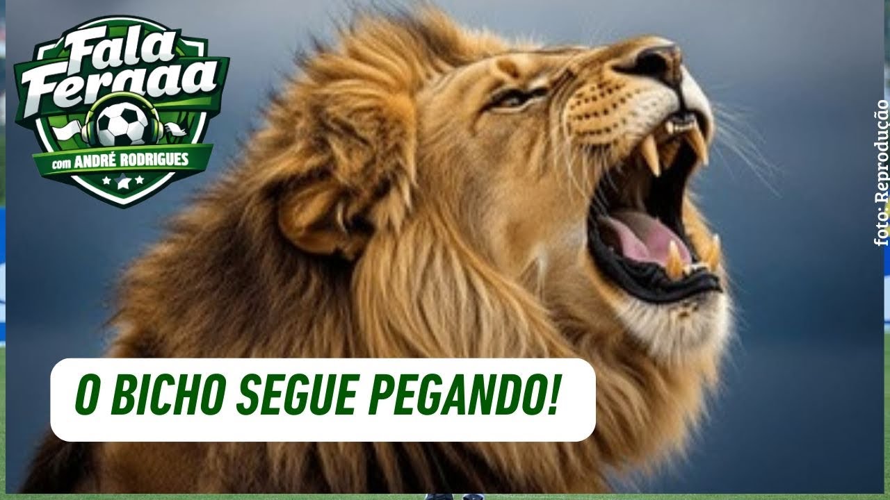REFORÇO VAI ESTREAR!🤩🥳🔝