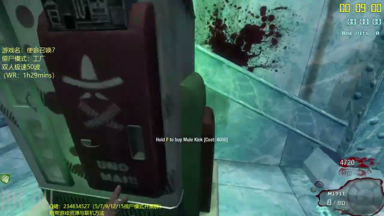BO Der Riese 2P Round 50 Speedrun 1:29:32