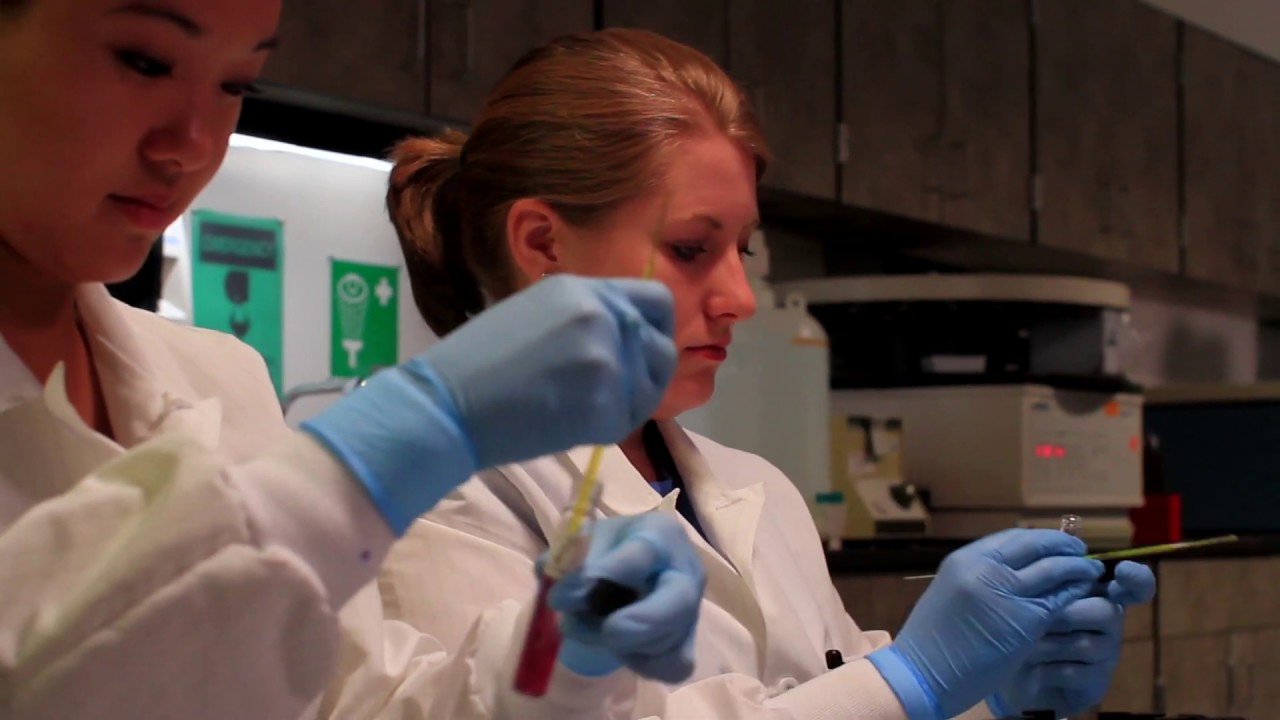 Master of Science in Clinical Laboratory Sciences