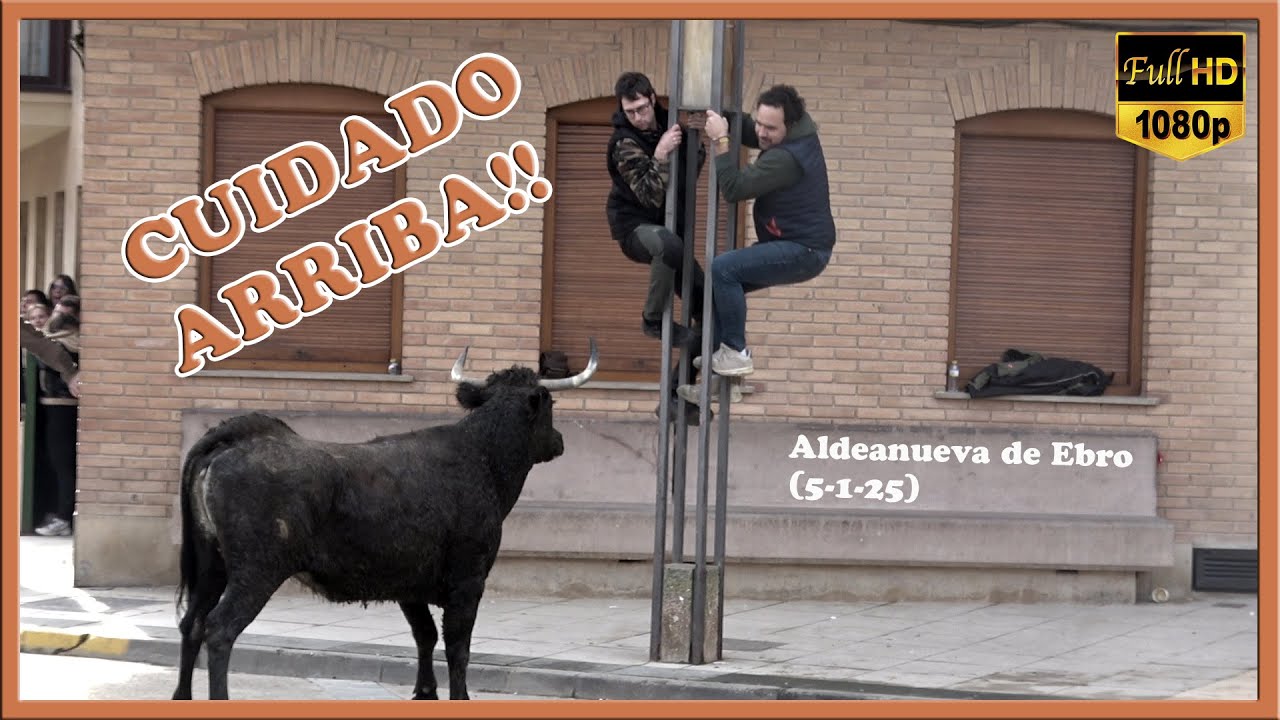 CUIDADO ARRIBA!! Aldeanueva de Ebro (5-1-25)