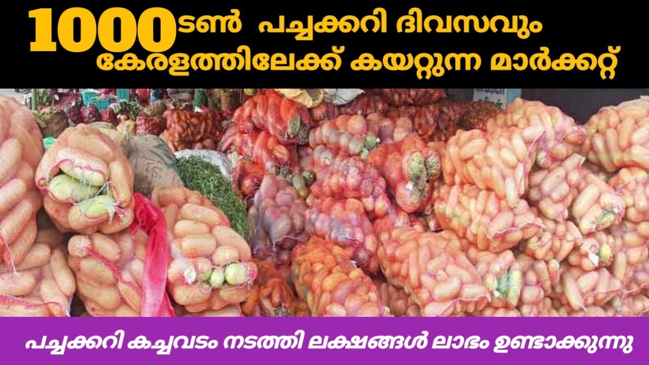 1000ടൺ പച്ചക്കറി ദിവസവും കേരളത്തിലേക്ക് കയറ്റുമതി ചെയ്യുന്ന മാർക്കറ്റ്pavoor chatramvegetable market