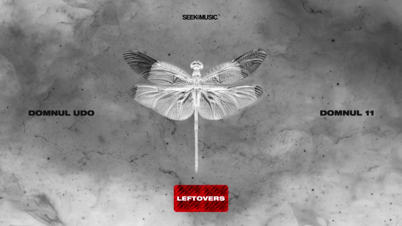 Domnul Udo - Stropitoare (Audio)
