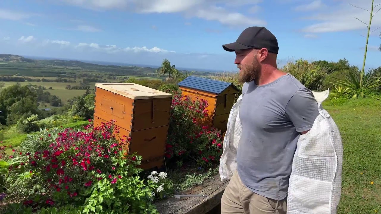 Tips for overwintering your Flow Hive with Pete
