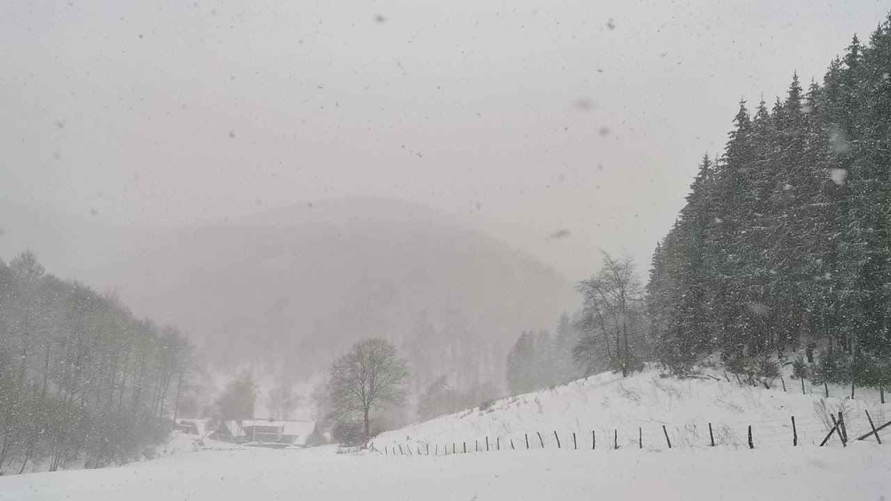 Starker Schneeschauer am 7. April 2021