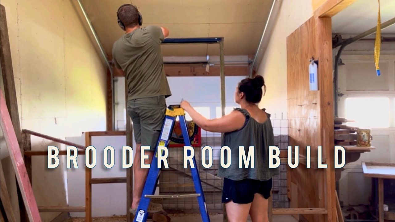 Chicken Brooder Room Setup! 🐥 Raising Chicks Indoors!