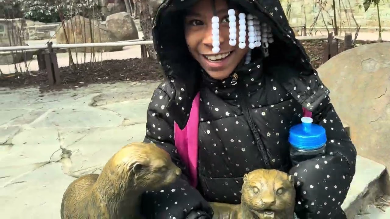 OTTER TALK ARE BLIND FOR 40 DAYS. They like Swimming. Harmoni,Honesti  and Lovelene HAPPY.part #3