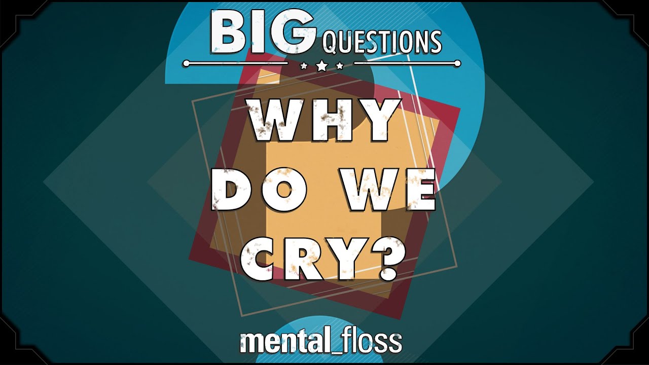 Why do we cry?  - Big Questions - (Ep. 202) | Mental Floss