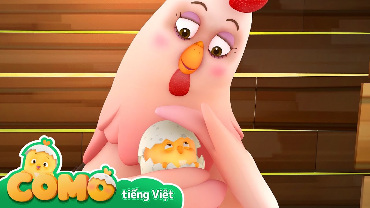 Como chào đời | 4 tập phim | Pat a Pat Como | Bé Como | Khởi đầu dễ thương