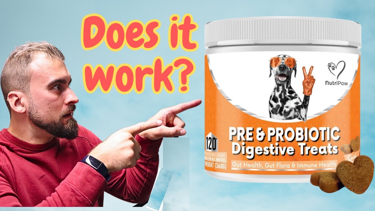 Nutripaw Supplements Pre & Probiotic Digestive Treats Review. Nutripaw Review