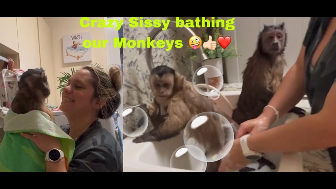 Our Monkeys' bath time with their crazy Sissy 😜🤪❤️