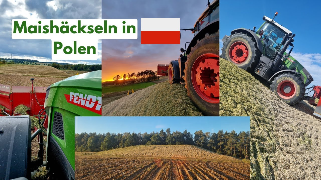 Erster Ausland Einsatz | Maisernte 2025 | Köhl Harvest