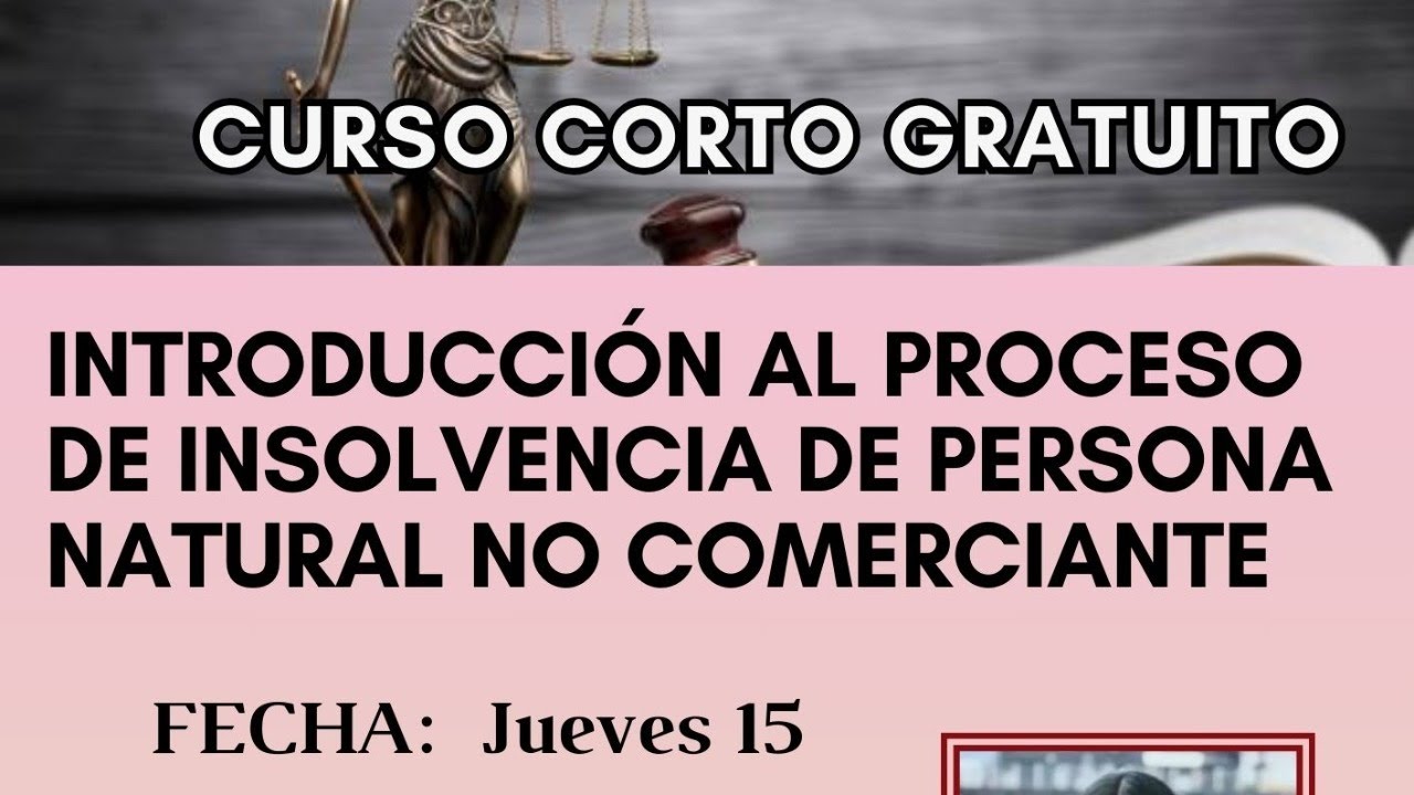 CURSO CORTO GRATUITO  INTRODUCCIÓN AL PROCESO DE INSOLVENCIA DE PERSONA NATURAL NO COMERCIANTE