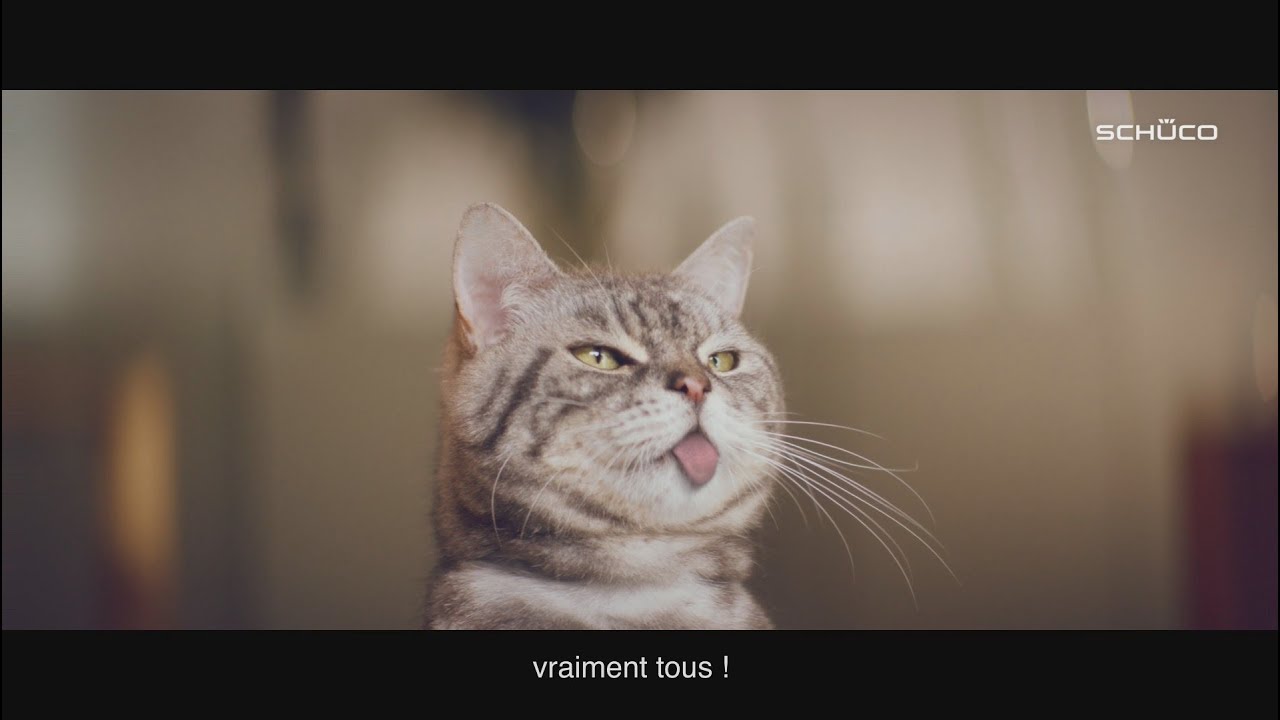 Schüco, la sécurité pour tous... vraiment tous !