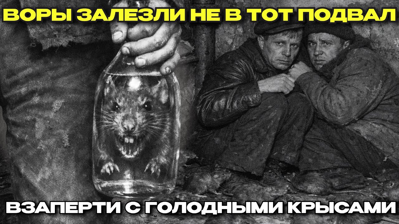 ВОРЫ ЗАЛЕЗЛИ НЕ В ТОТ ПОДВАЛ... Дед запер их с ГОЛОДНЫМИ КРЫСАМИ!