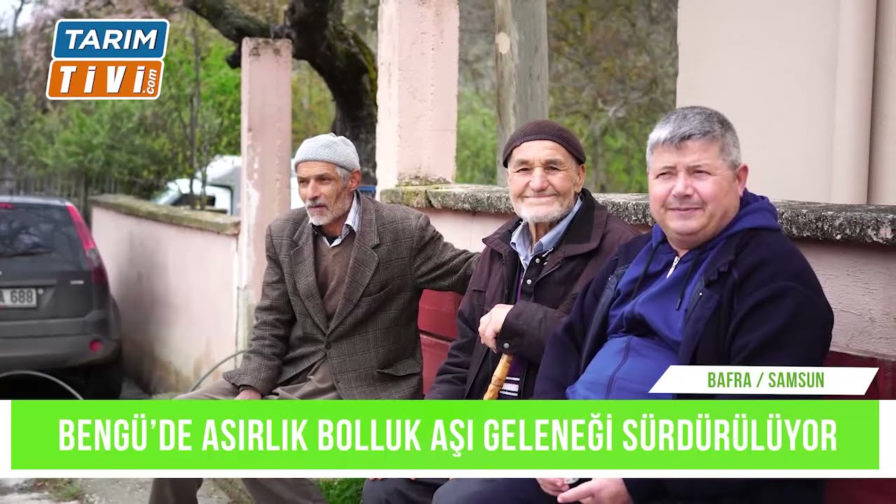 Bengü Afat Kurbanı 2022