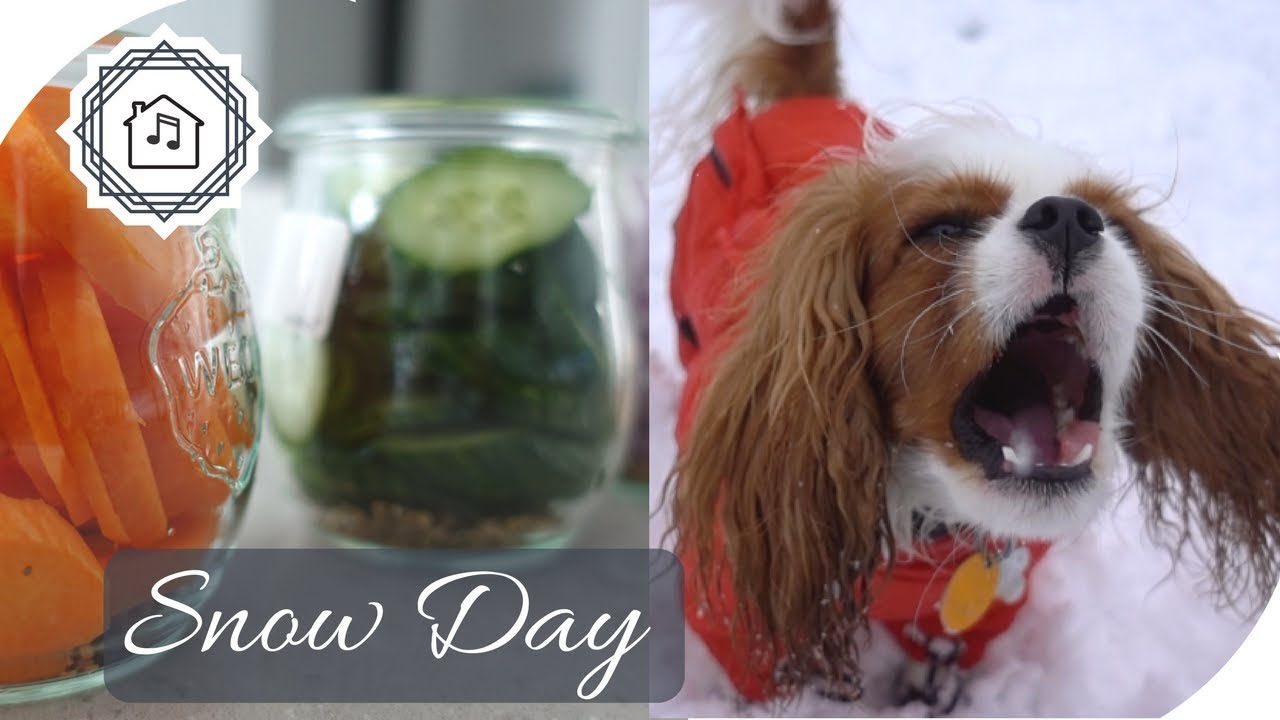 Winter Storm Quinn: Grocery Haul, Clover's Snow Day & Making Quick Pickles