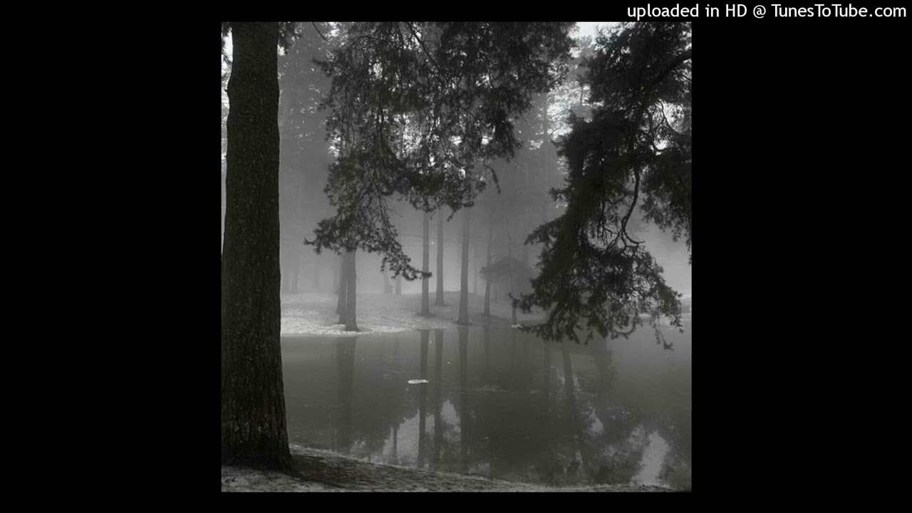 [free] destroy lonely + ambient + maoricore type beat 