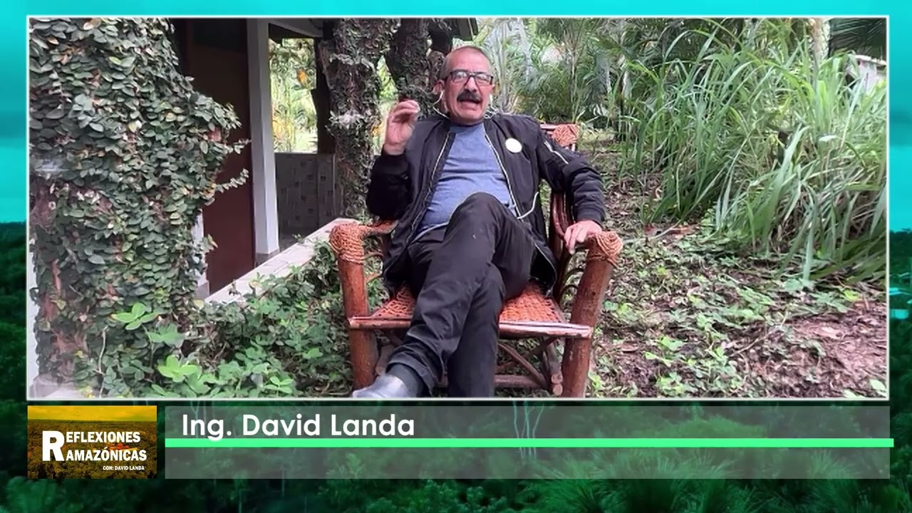 LA AMAZONIA, LA NUEVA BATALLA POR EL ADN