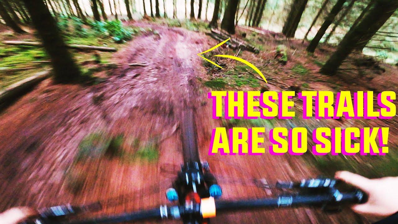 THE BEST TRAILS IN SOMERSET?!