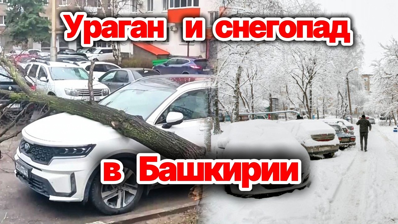 Удар погоды в Башкирии! Ветер валит деревья и срывает крыши в Уфе! Снегопад в Нефтекамске! Сегодня