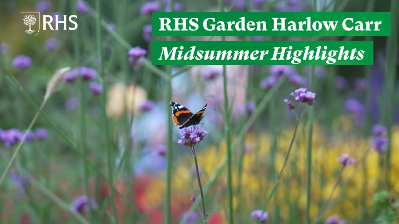Top things to see at RHS Garden Harlow Carr in midsummer | The RHS