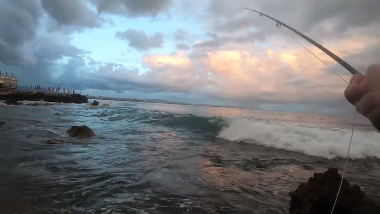 Pesca a Mosca In Mare .. STRIKE!!