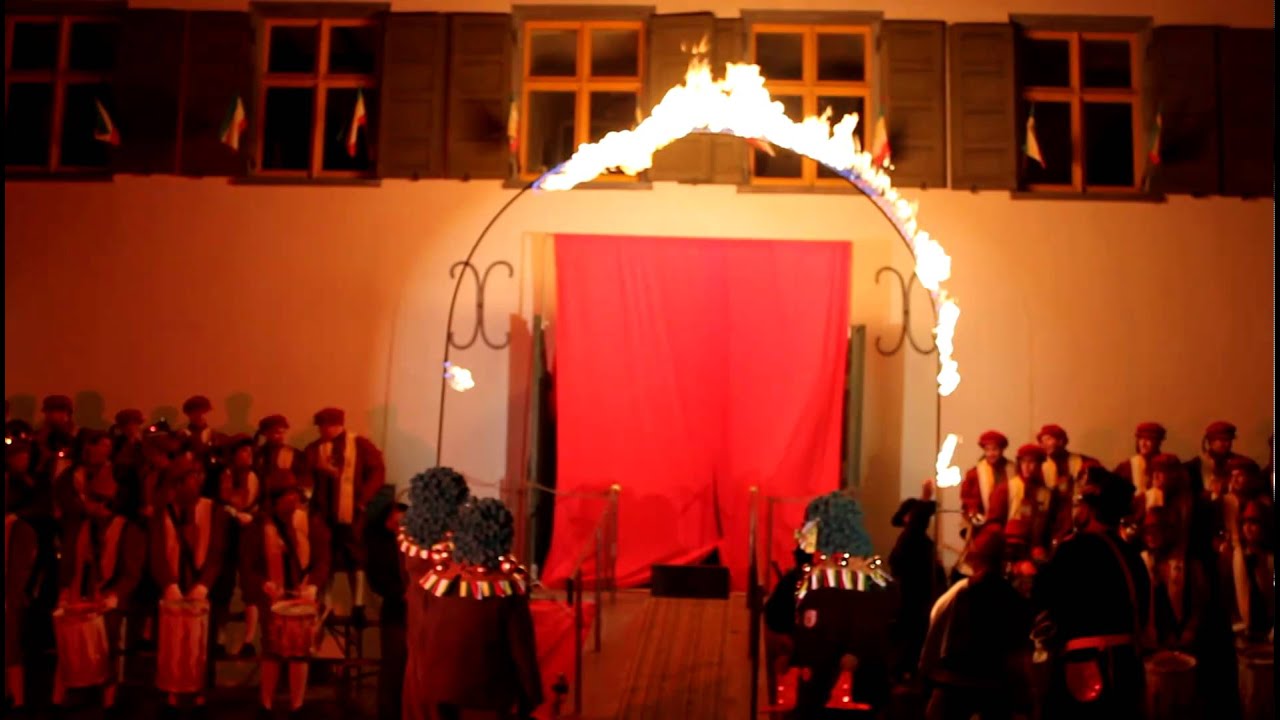Raus mitm Gole 2011 der Narrenzunft Gole Riedlingen