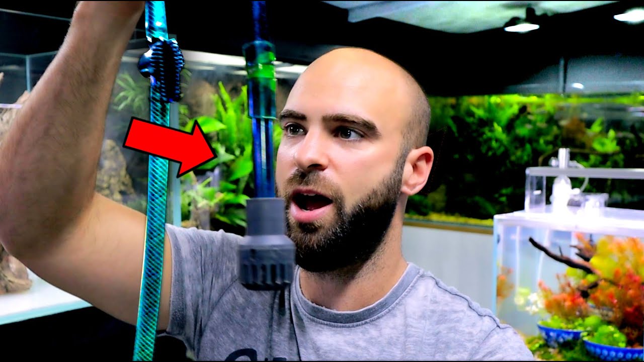 Should Have Used This With First Aquarium! (Hack)