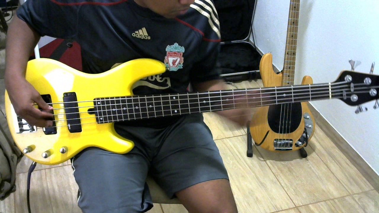 LIndo Coral | Bruna Karla - Cover Bass