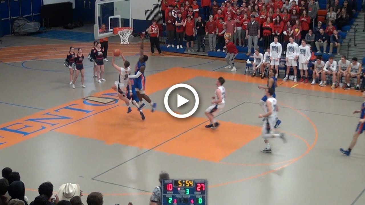 BISON Fenton High School (Bensenville) vs LIONS St Viator High School (Arlington Heights) | Final