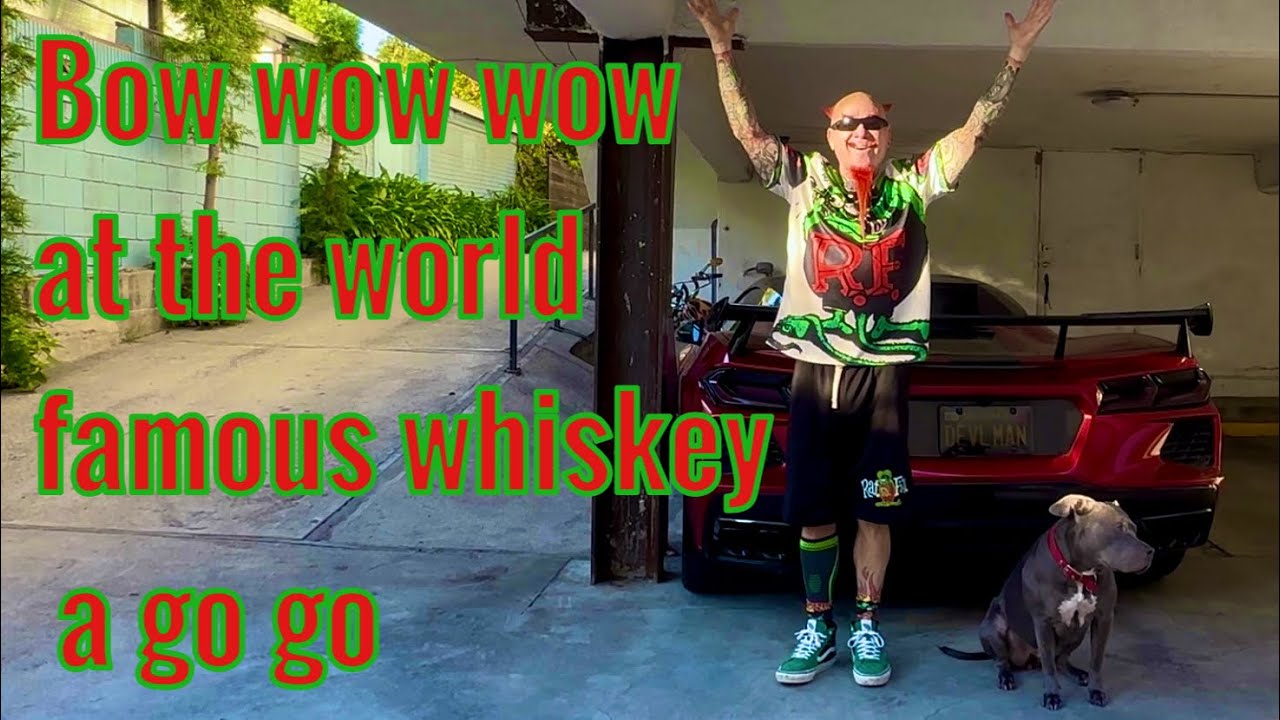Гав-гав-гав в всемирно известном виски-баре Whiskey Go Go!