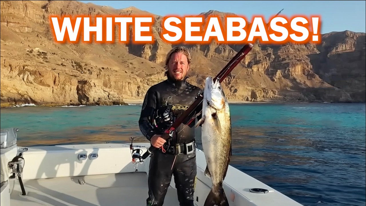 3 Days Spearfishing White Seabass In the Channel Islands | Adventure On Vintage Dive Boat