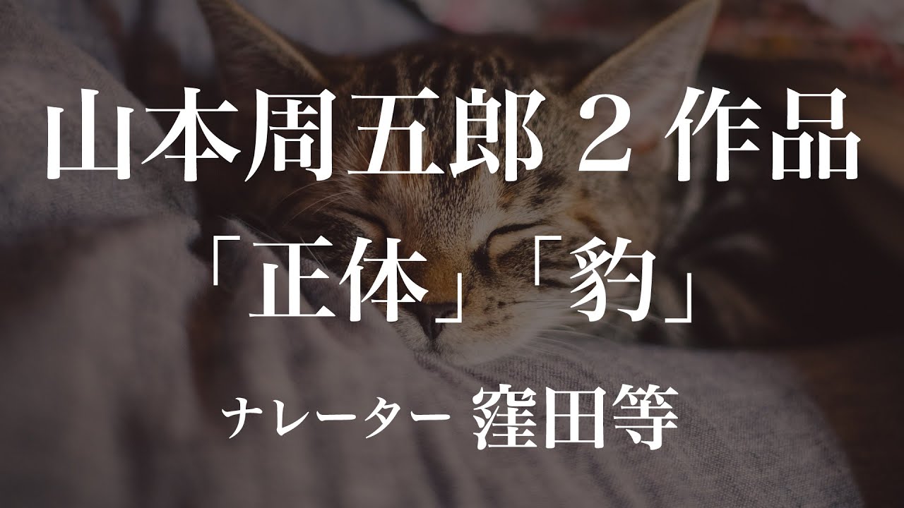『正体』『豹』作：山本周五郎　朗読：窪田等　作業用BGMや睡眠導入 おやすみ前 教養にも 本好き 青空文庫