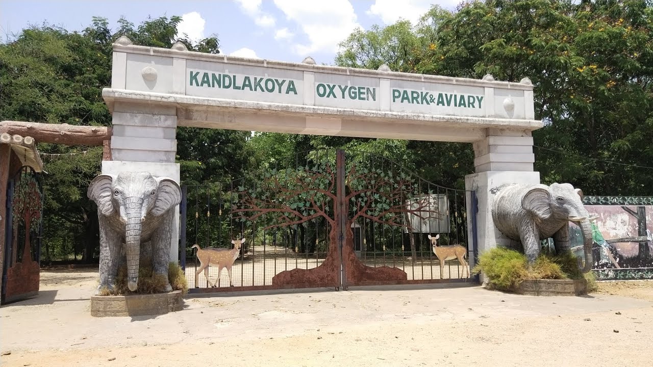 KANDLAKOYA OXYGEN PARK & Aviary Best Forest Themed Canopy Walk Must Visit Hyderabad