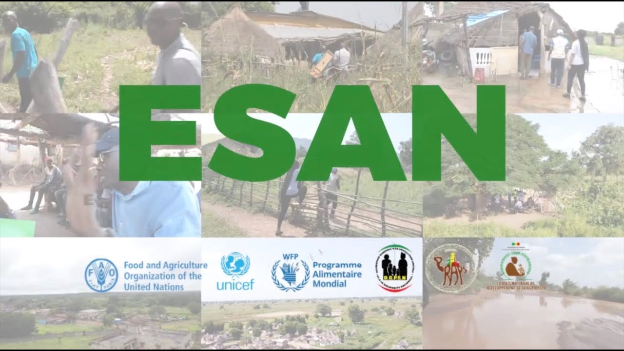 ESAN  (Enquete de Sécurité Alimentaire et de Nutrition)