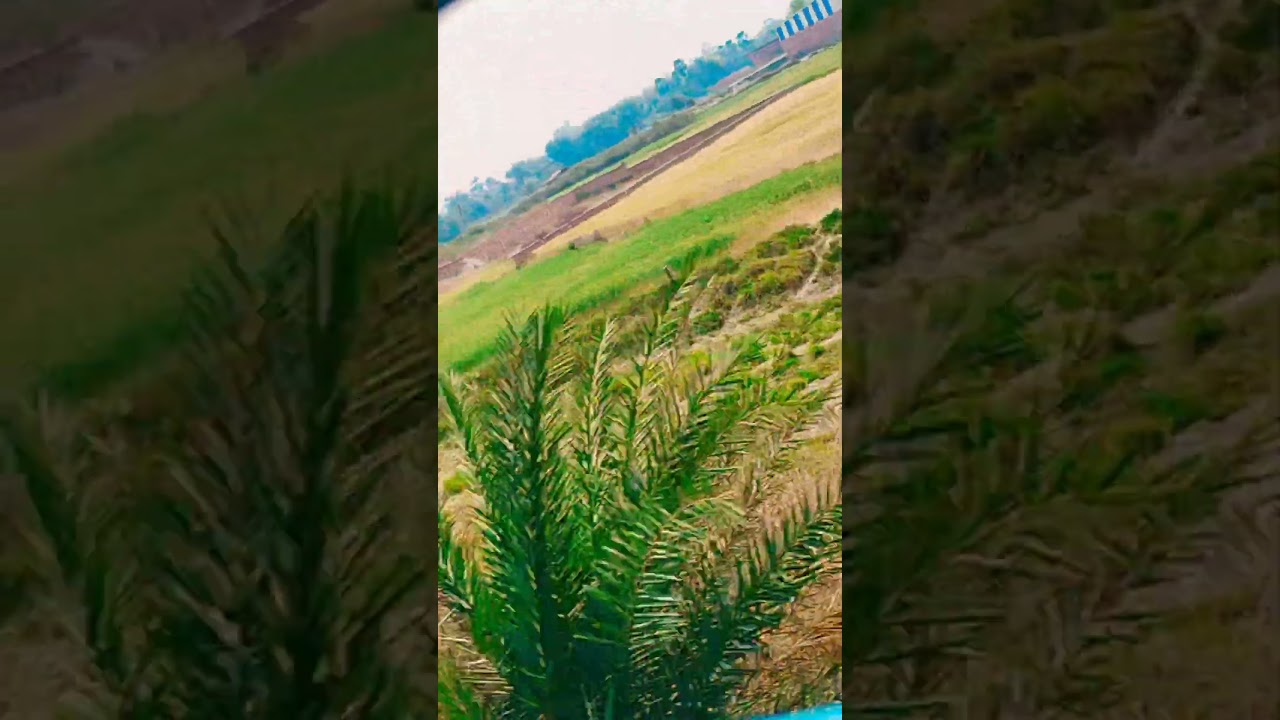 #trending