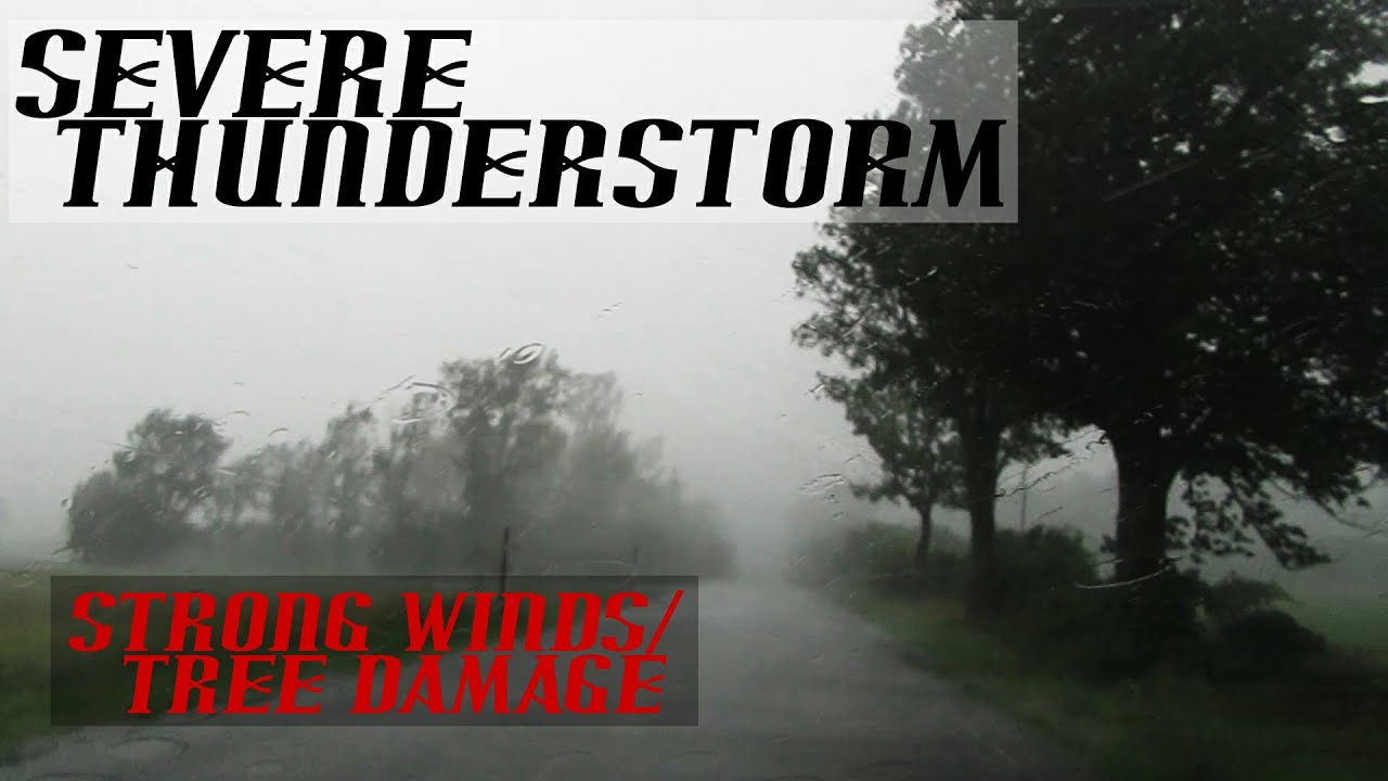 Severe Thunderstorm | Damaging Winds | Trees Falling