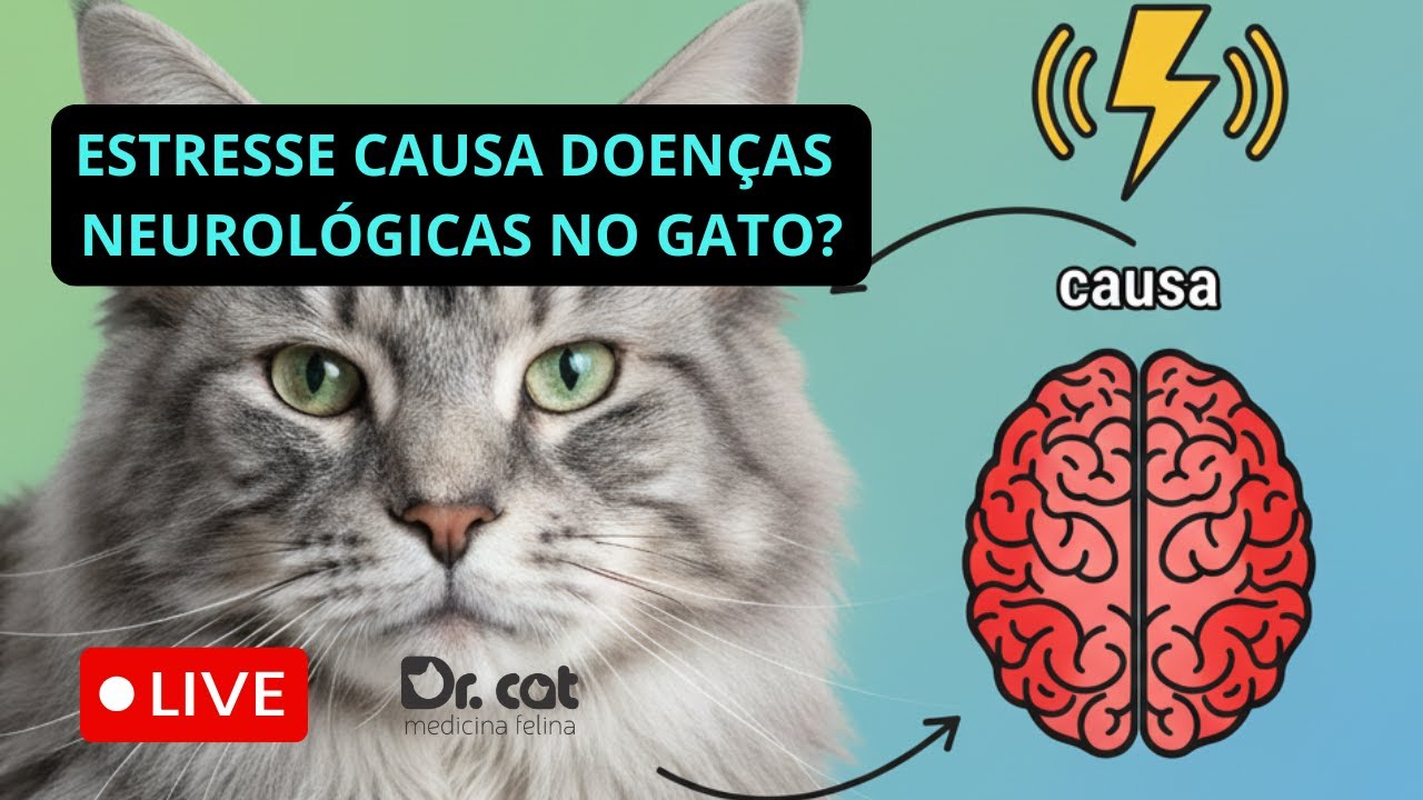 Estresse Crônico em Gatos: A Conexão com Doenças Neurodegenerativas