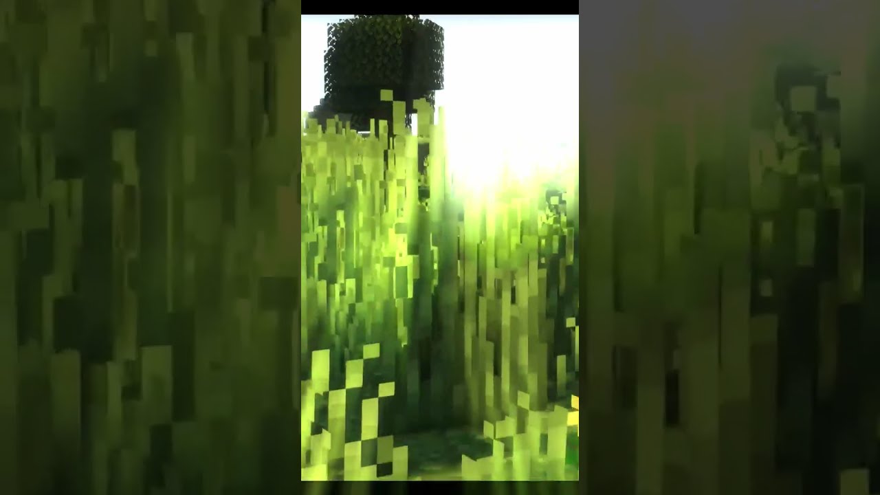 prompt: long grass & ferns #buildtober