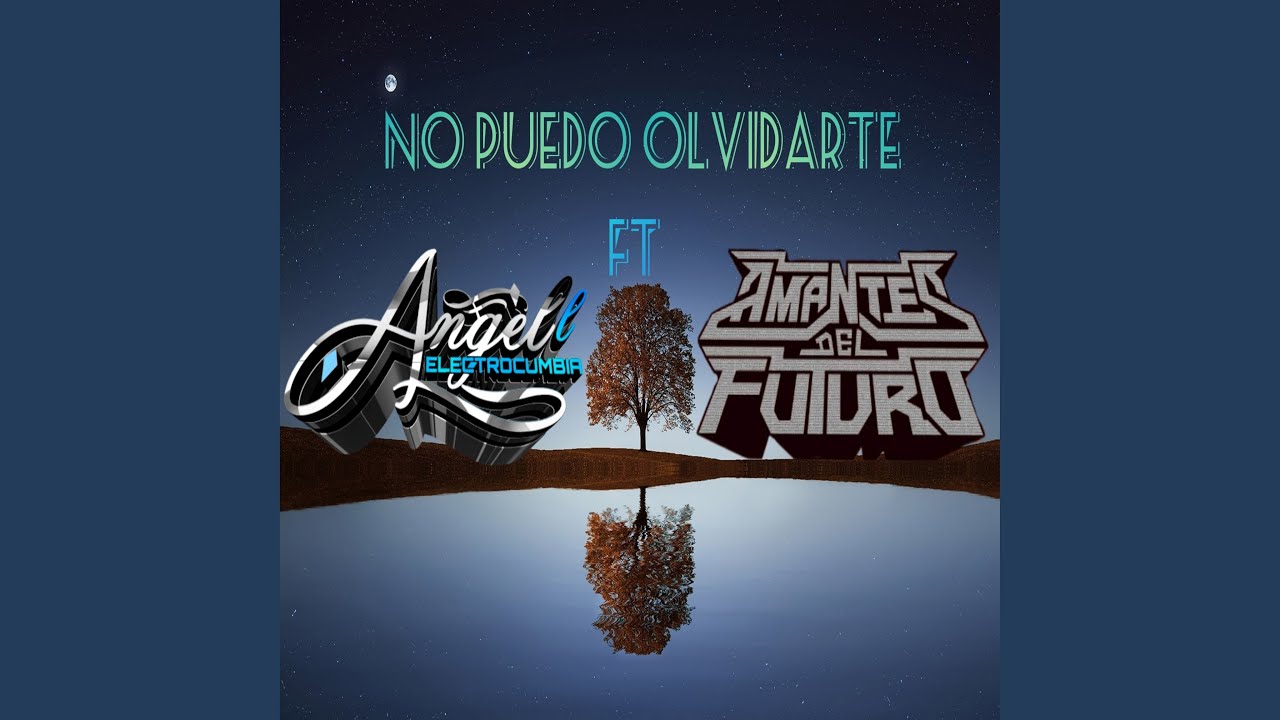 No Puedo Olvidarte