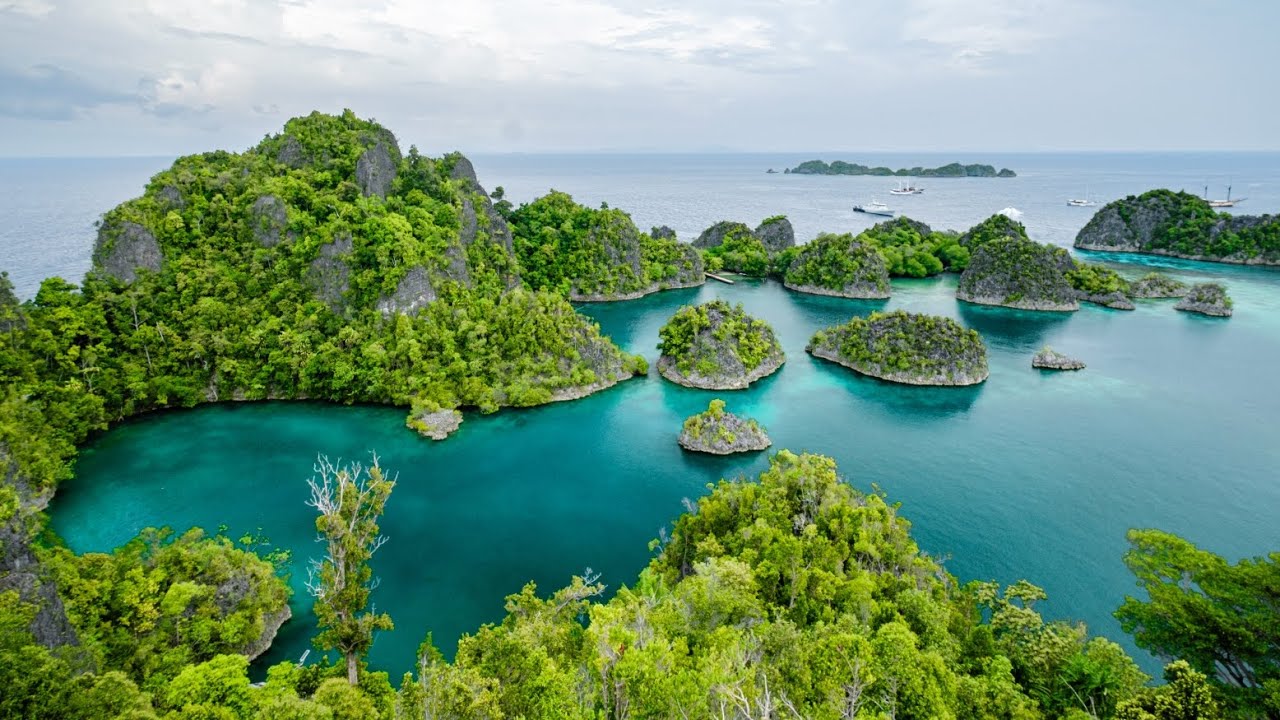 RAJA AMPAT PARADISE - Fam Islands & Arborek • Part 2