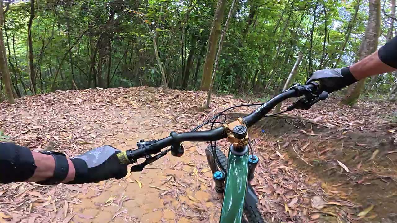 Back to Gym Trail, checkout the tiger at the end ha ha ha....