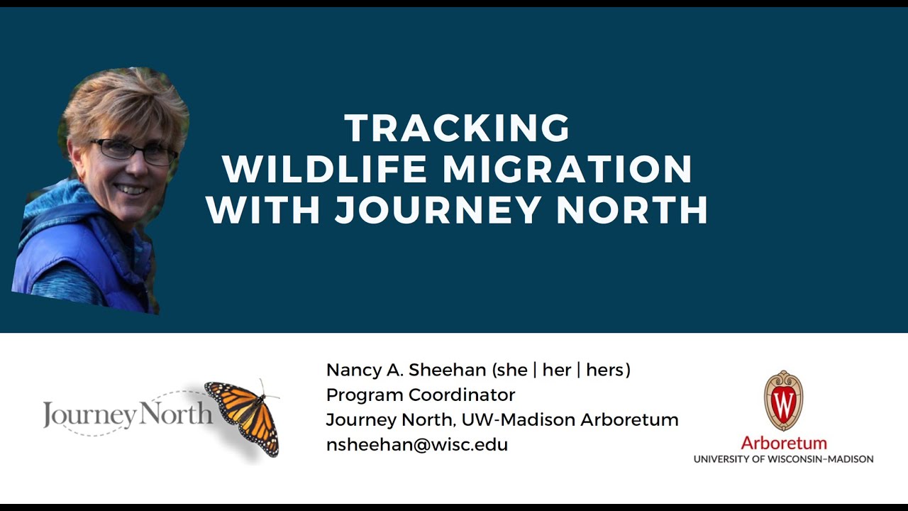 Journey North Overview with Nancy Sheehan