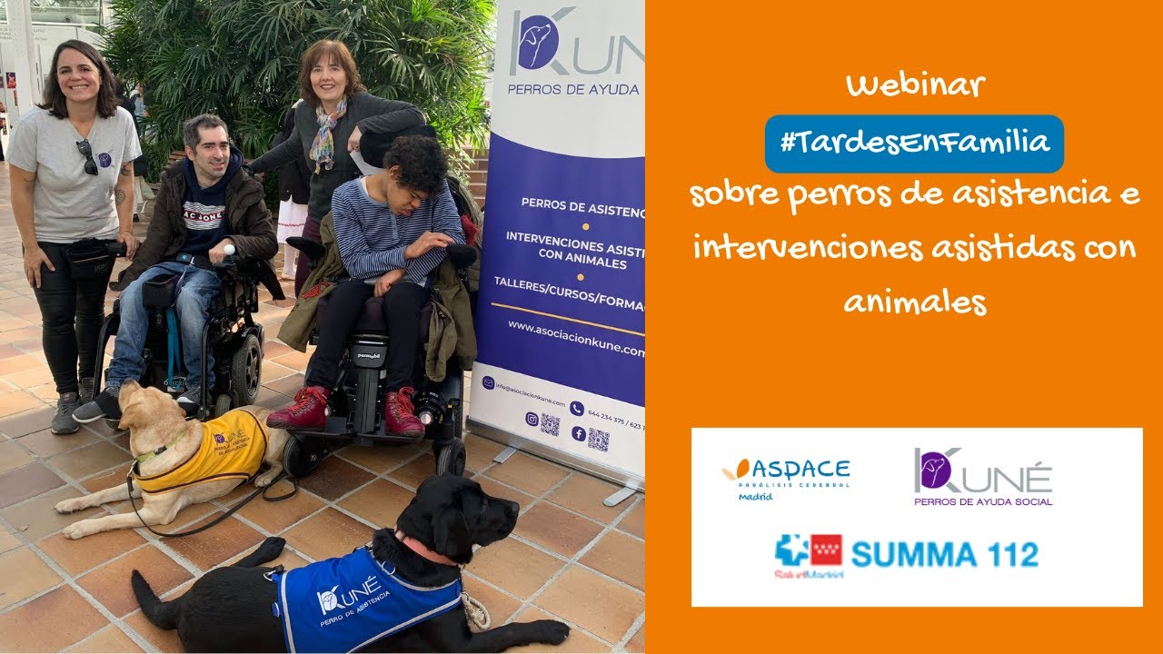 Webinar #TardesEnFamilia: perros de asistencia e intervenciones asistidas con animales.