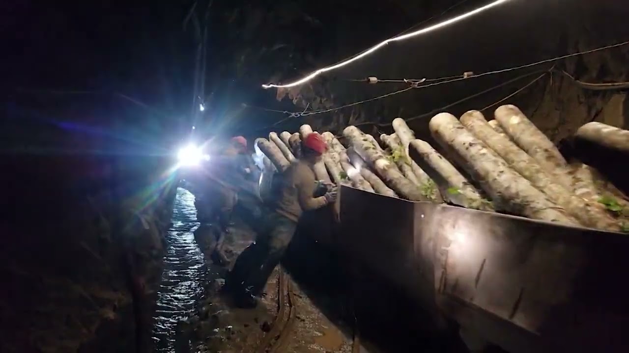 Zbardhet takimi ambasadores së SHBA në Greqi me Ramën