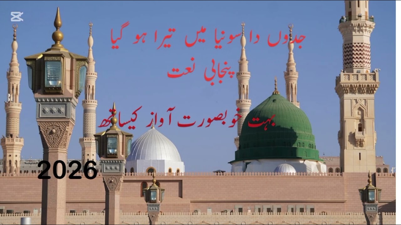جدوں دا سونیا میں تیرا ہو گیا 