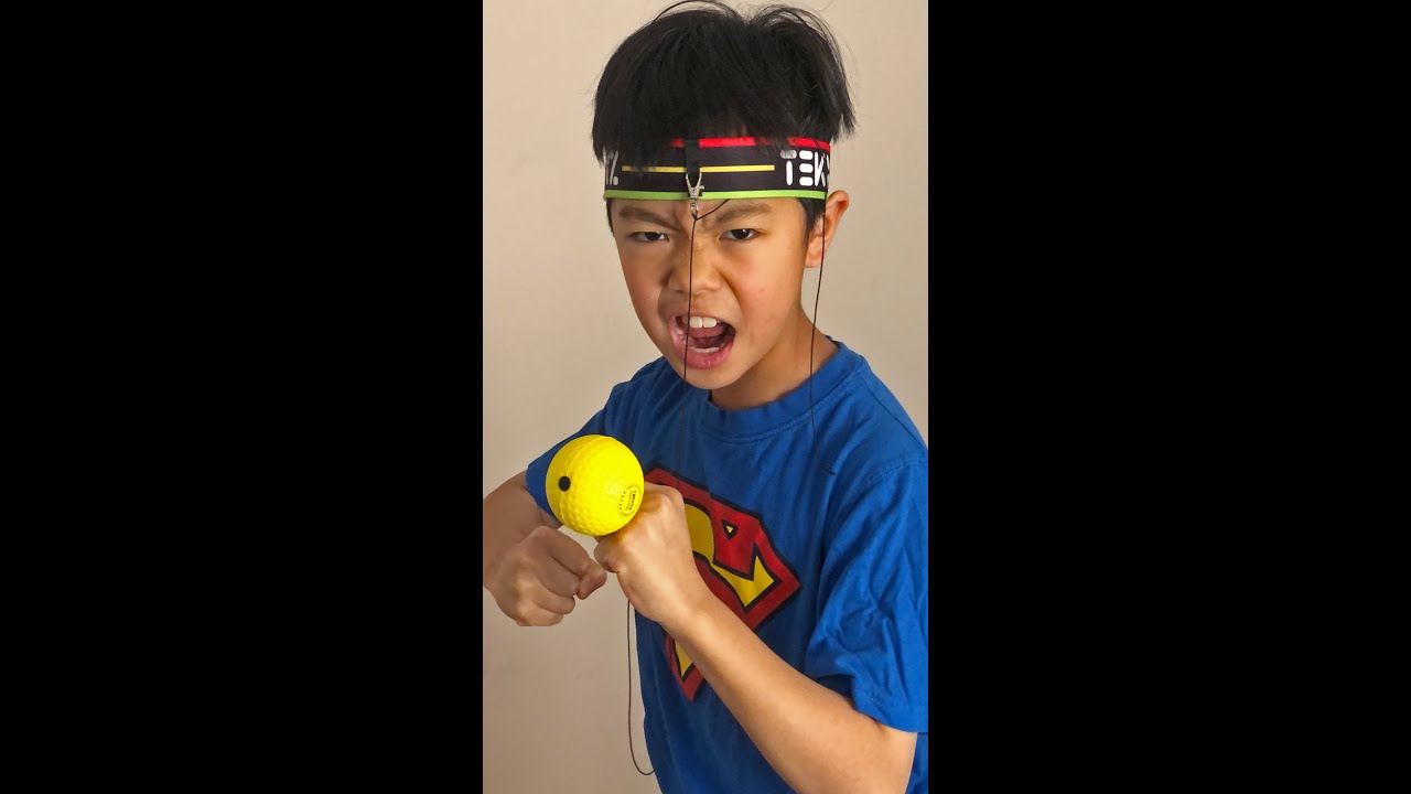 Boxing Reflex Ball Review